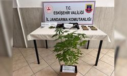 Evinde Kenevir Yetiştirdi