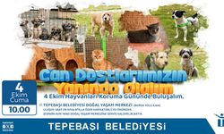 Can Dostlarla Buluşma