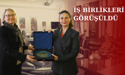 Finlandiya Büyükelçisinden Başkan Ünlüce'ye ziyaret