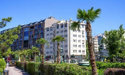 Köprübaşı Palmiyeler Ve  Zakkumlarla Süslendi