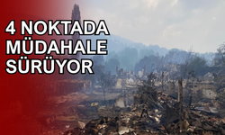 Son 3 Günde 263 Orman Yangını