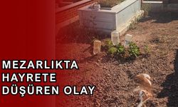 Mezarlık ziyaretinde şok eden olay