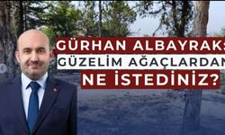 Gürhan Albayrak'tan Çifteler Belediyesine eleştiri