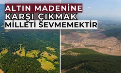 Siyanür ile altın aranmaz