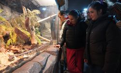 Özel bireyler gezide eğlendi