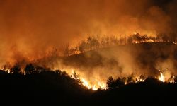 Hatay'da Orman Yangını!