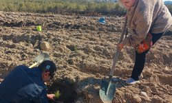 Yangın bölgesinde anlamlı etkinlik