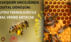 Eskişehir’de arıcılığa dijital dönüşüm: BEBKA destekli proje uygulamaya giriyor