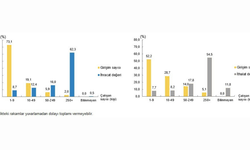 Hizmet Ticaretinde "Dev" adımlar: 2023 Raporunda büyük ölçekli şirketlerin dominasyonu