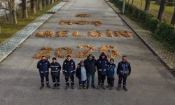 Yapraklarla yazılan sımsıcak karşılama: “Hoş geldin 2026”