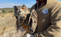 Eskişehir’de doğa sevgisi aşılanıyor