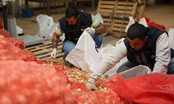 2025'te üreticiye tam destek sağlandı