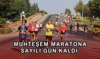 Sporseverler bu festivalde buluşacak
