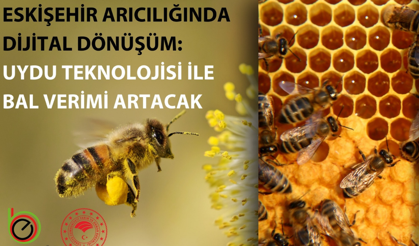 Eskişehir’de arıcılığa dijital dönüşüm: BEBKA destekli proje uygulamaya giriyor