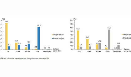 Hizmet Ticaretinde "Dev" adımlar: 2023 Raporunda büyük ölçekli şirketlerin dominasyonu
