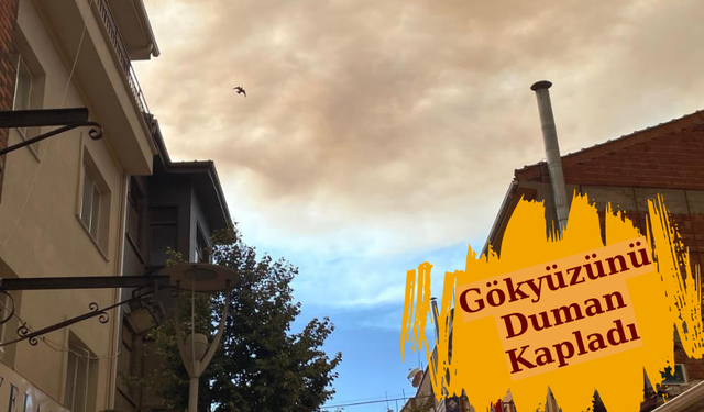 Orman yangınının dumanı Eskişehir'i kapladı