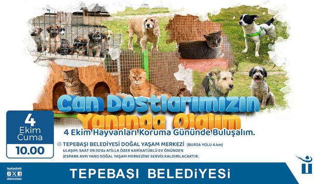 Can Dostlarla Buluşma