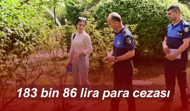 Zabıta Temiz Tepebaşı İçin Denetimlerini Sürdürüyor