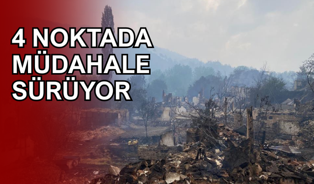 Son 3 Günde 263 Orman Yangını