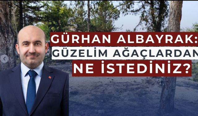 Gürhan Albayrak'tan Çifteler Belediyesine eleştiri