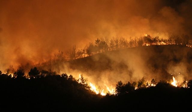 Hatay'da Orman Yangını!
