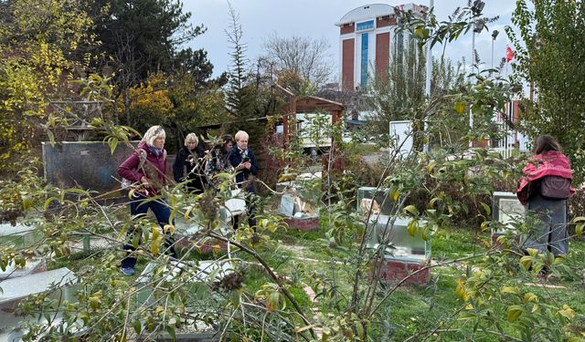 "Sanatsal Ellerle Çevreci Çocuklar"