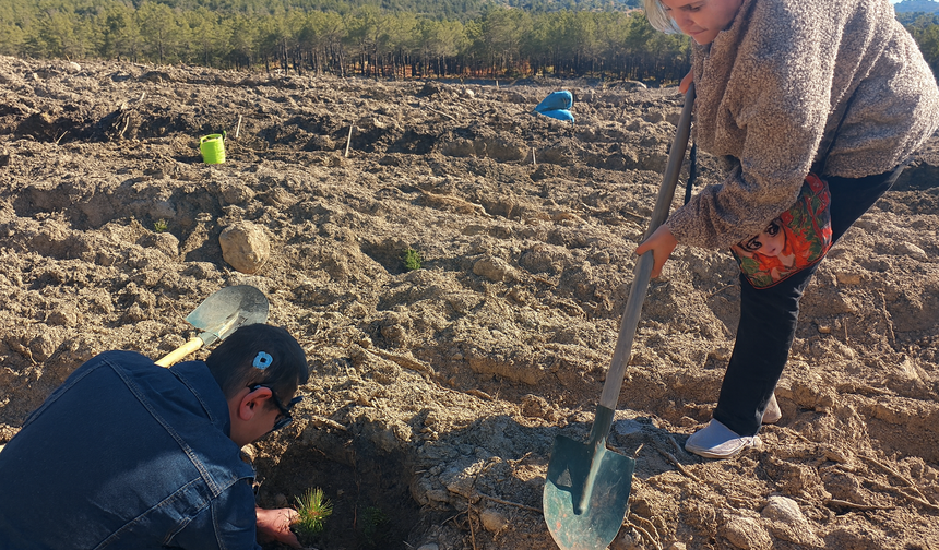 Yangın bölgesinde anlamlı etkinlik