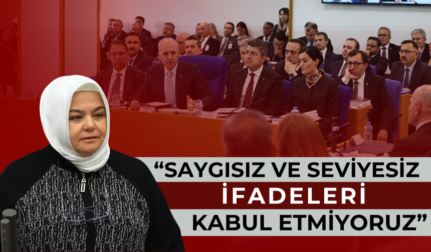 TBMM’de Gergin Anlar: ‘Hakaret Siyaseti’ne Gürcan’dan Net Mesaj